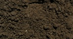Unscreened 'As Dug' Soil